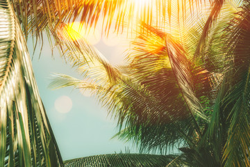 Tropical palm tree with colorful bokeh sun light on sunset sky cloud abstract background.