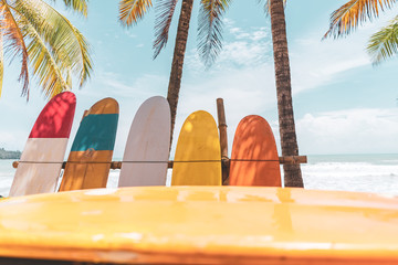 Surfboard and palm tree on beach background.