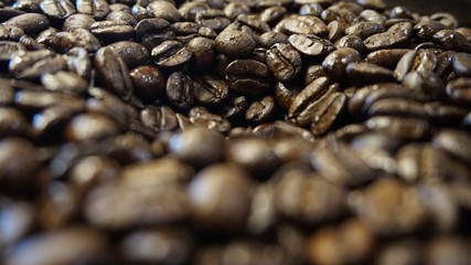 coffee beans on a background