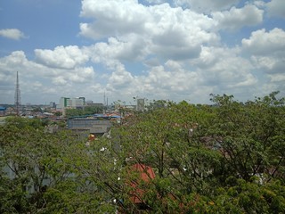 cloud in the sky and the tree 