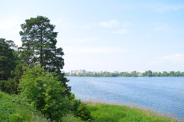 Fototapeta na wymiar Summer landscape of the lake. Nature and plants.