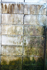 Old box brick walls with moss