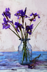 Purple Irises in a Vase