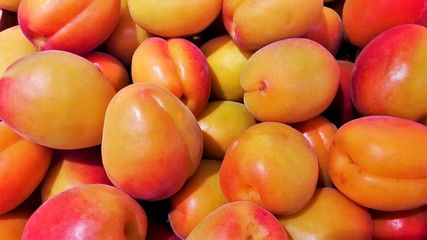 many apricot fruits in close up