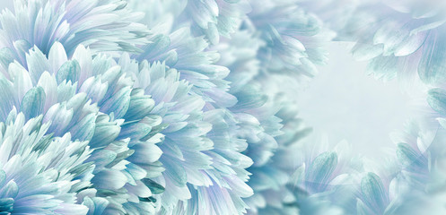 Fototapeta na wymiar Floral turquoise beautiful background. Flowers and petals dahlia close-up. Flower composition. Greeting card for the holiday. Nature.