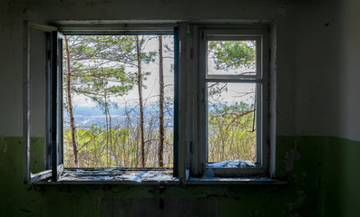 View from the window of the destroyed abandoned building on the street with trees