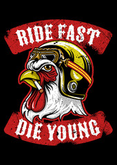Rooster with Helmet Motorcycle club emblem Vector Illustration