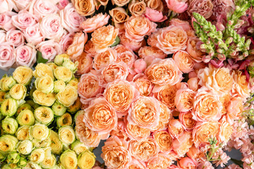 Floral carpet or Wallpaper. Background of mix of flowers. Beautiful flower for catalog or online store. Floral shop and delivery concept. Top view. Copy space