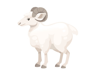 White horned mountain ram sheep cartoon character design flat vector animal illustration isolated on white background