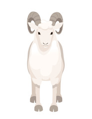 White horned mountain ram sheep cartoon character design flat vector animal illustration isolated on white background