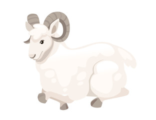 White horned mountain ram sheep sit on floor cartoon character design flat vector animal illustration isolated on white background