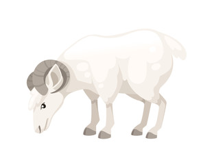 White horned mountain ram sheep eating cartoon character design flat vector animal illustration isolated on white background