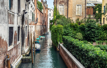 Historic part of Venice with a canal and green garden with ivy near the bricked houses