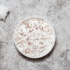 Sprouting Cress Salad Seeds