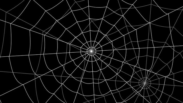 few cobwebs move against a black background