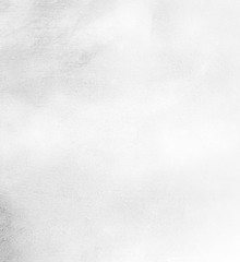 Silver Frost Stainless