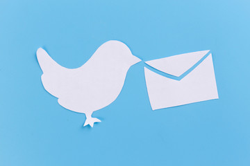 two pigeons with letter