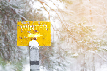A null pointer in a forest in winter.