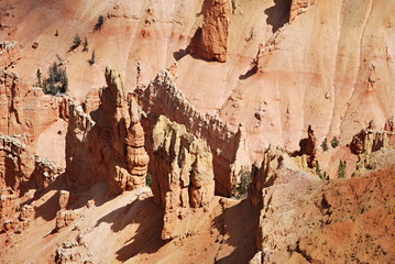 Cedar Breaks National Monument, Utah