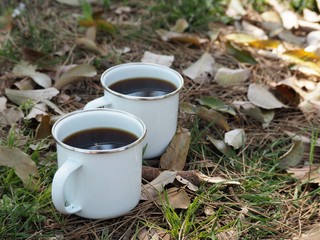 落ち葉で覆われた地面に置かれた琺瑯の白いマグカップ