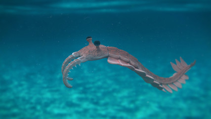 Anomalocaris, prehistoric creature of the Cambrian period