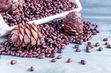 pine nuts and cones on blue background