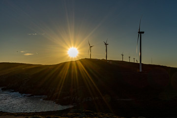 wind turbines at sunset