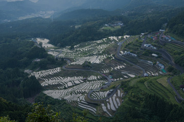 丸山千枚田