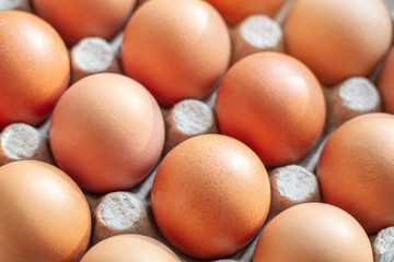 Chicken eggs in a carton box. Close-up.