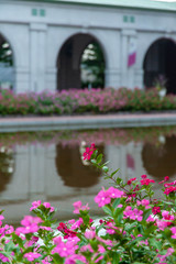 Fototapeta na wymiar ピンクの花畑とアーチ状の建築物