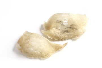 Edible bird's nest on white background.