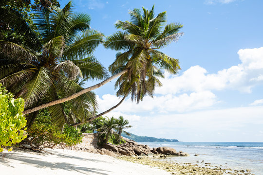 Scenic View Of Anse Baleine Beach, Mahe Island, Seychelles