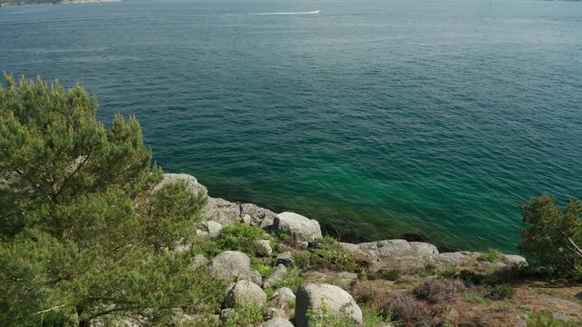 Scandinavian Fjord Cinematic Drone Pull Back Aerial From Rocky Coast Between Trees With Sailing Boat and Cliffs Coastline on Horizon 4k