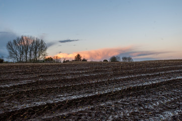 Impression of the east flemish country side, just before dusk on a fall afternoon