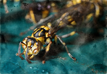 Watercolor Painting of Wasp on Blue Green Floor