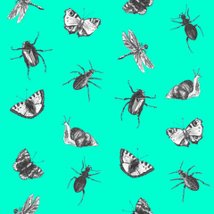 Bright seamless summer pattern with butterflies, beetles and dragonflies. Hand drawn insects. Graphic background for textile, packaging and design.