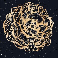 beautiful monochrome black and white rose flover isolated on background. Hand-drawn. design greeting card and invitation of the wedding, birthday, Valentine's Day, mother's day