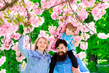 Spring fashion family in spring garden. Springtime. Summertime. Happy couple in flowering trees. Mother, father and son spending time in sakura park. Love. Happy loving family concept. Sakura blossom.