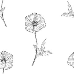 Seamless pattern poppy ink illustration. Flowers blossom vestor surface design