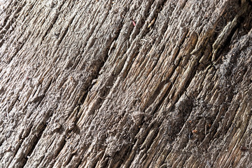 Old wooden board as abstract background