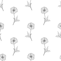 Seamless pattern poppy ink illustration. Flowers blossom vestor surface design