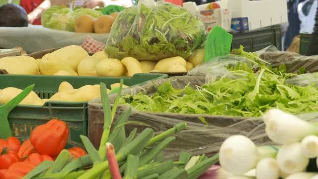 Organic Vegetables at Farmers Market