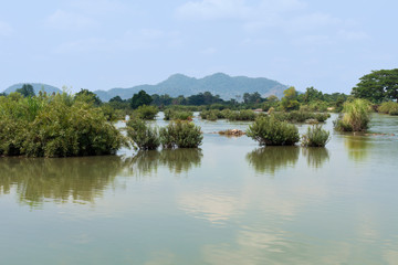 Fototapeta na wymiar Mekong at Don Det, Si Phan Don (four thousand Islands), Province Champasak, Laos