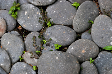Pebbles stonek Background taken at the sea in phuket, Thailand.