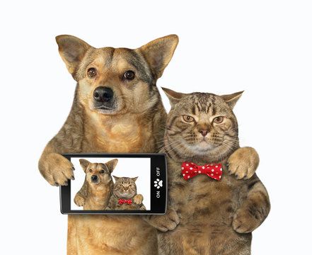 The dog with a smartphone and cat in a red bow tie made selfie together. White background. Isolated.