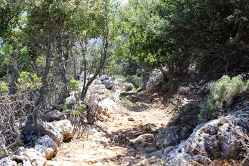 Kreta, Kritsa, Wanderweg