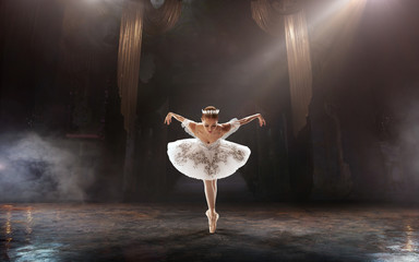 Ballet. Classical ballet performed by a couple of ballet dancers on the stage of the opera house.