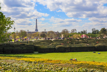 Fototapeta premium Marvelous Tuileries garden of Louvre Palace in spring. Paris France. April 2019