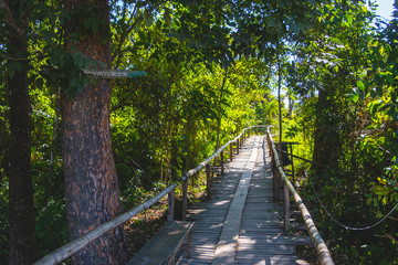 Obraz premium Old wooden bridge walkway in the forest. So beautiful nature in Thailand , mae sot.