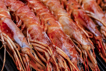 big shrimp red long legs row sea food delicious delicacy close-up
